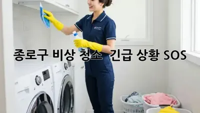 종로구 비상 청소, 🚨 긴급 상황 SOS!