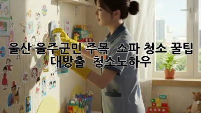 울산 울주군민 주목! ✨ 소파 청소 꿀팁 대방출 🛋️ #청소노하우